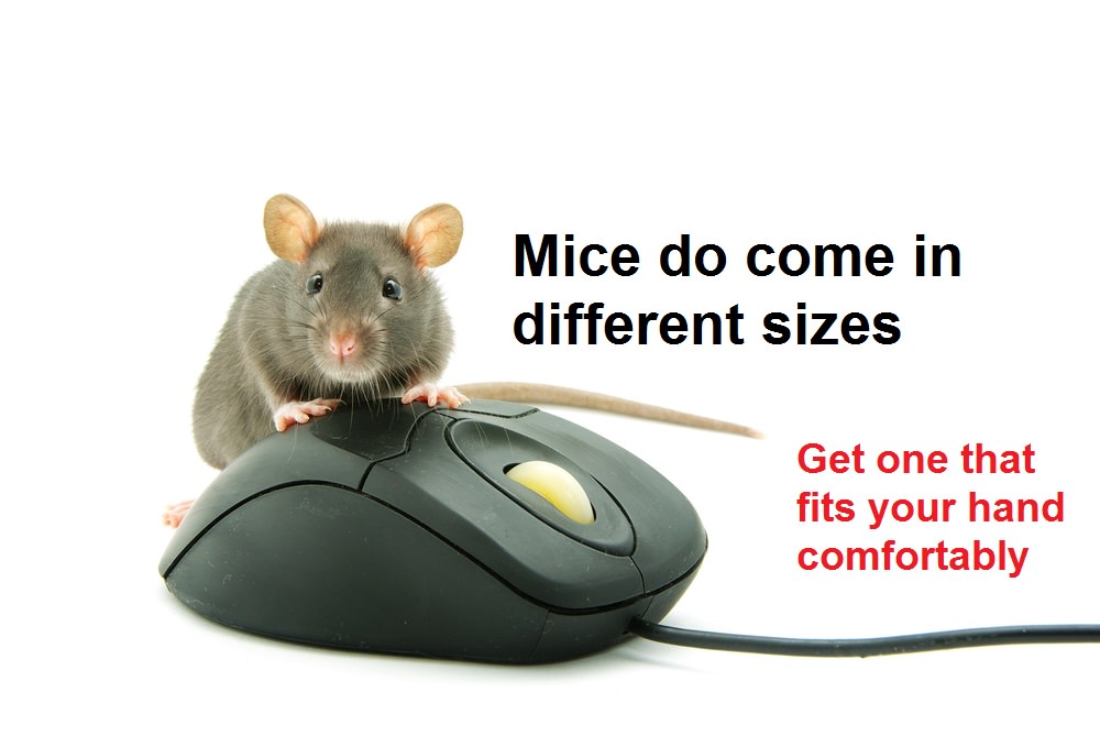 mouse on a mouse
